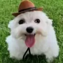 deputamadre