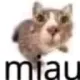 SCmiau