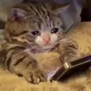 emoji_78