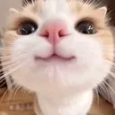 emoji_90