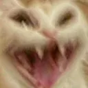 18103catahhaha