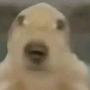 emoji_50 Discord Emoji - ESTRELLAS 💫