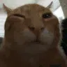 buh buh