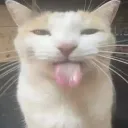 emoji_26