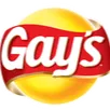 gayslays