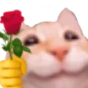 roseshka
