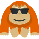 changocoolconlentes