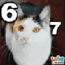 6008767cat