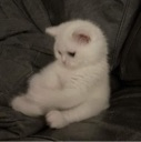 emoji_3 Discord Emoji - خاص