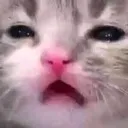 emoji_110