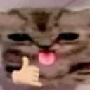 0_chillcat