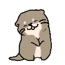 d_shy