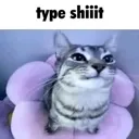 typeshiiit
