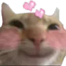 catblush