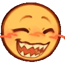 z37