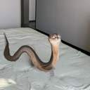 emoji_1 Discord Emoji - ♡  glitchlove.wav ♡