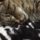 emoji_2 custom emote | ♡  glitchlove.wav ♡