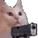 cat_gun