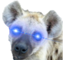 yeenwoke