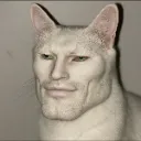 cba4a37df7ff47390f1721d7502221a6