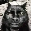 841d566aec327b063984f91574fff6e8