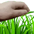 rtouchgrass