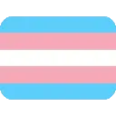 f_flag_trans