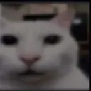 michi