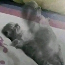 ded Discord Emoji | Northern Star Community