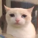 sadsillystare
