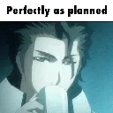 Perfectlyasplanned