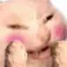 ccgg_catomg