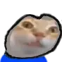 ermgi