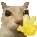 catwave