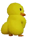 duckass