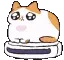 catroombaexceptionallyfast