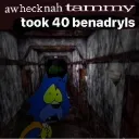 Tammy_took_40_benadryls