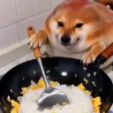 cooked cooked