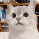 nuh_uh