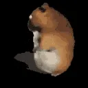 30588chomikratatonta