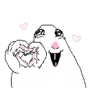 heart custom emote from ⊹  ﹕  ⟡  v  a  n  i  t  y  ⟡