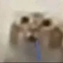 cat_der