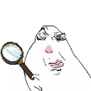 looking custom emote from ⊹  ﹕  ⟡  v  a  n  i  t  y  ⟡