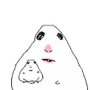 babyhamster custom emote | ⊹  ﹕  ⟡  v  a  n  i  t  y  ⟡