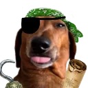 pirateherbert pirateherbert