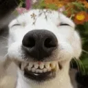 emoji_10 emoji_10
