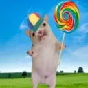 cutedogwlolipop