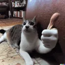 thumbsup