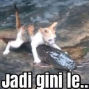 jdiginile custom emote | Boys Basecamp International