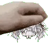 plymegahyperpat